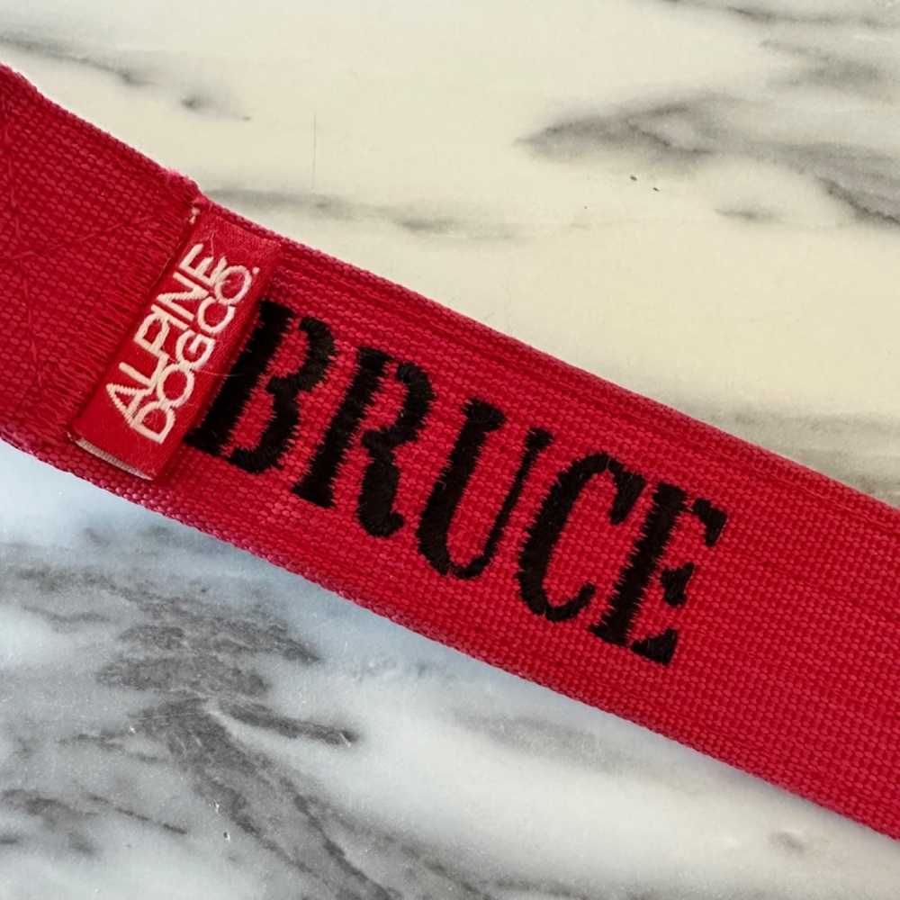 “BRUCE” Alpine dog collar